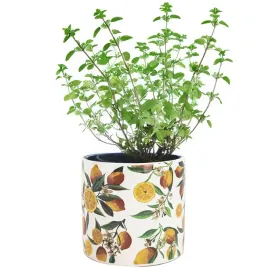 doniczka-ceramika-bialy-skandi-pl-14-cm-x-14-x-13-cm