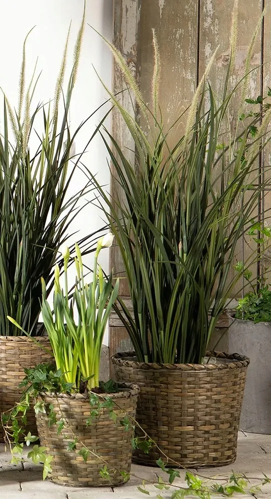 oslonka-375-cm-wiklina-bezowy-waga-z-opakowaniem-2-kg