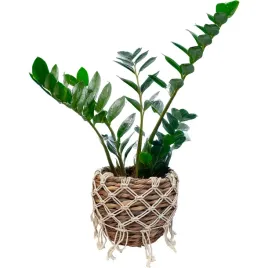 doniczka-wiklina-brazowy-skandi-pl-28-cm-x-28-x-23-cm