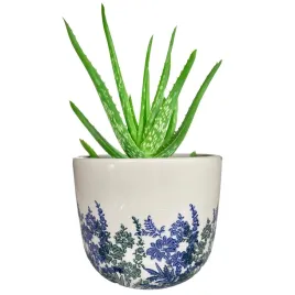 doniczka-ceramika-bialy-niebieski-skandi-pl-21-cm-x-21-x-18-cm
