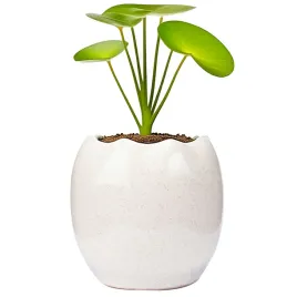 doniczka-ceramika-bialy-skandi-pl-125-cm-x-125-x-12-cm