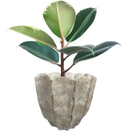 doniczka-beton-szary-skandi-pl-20-cm-x-20-x-18-cm
