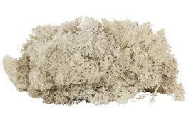 mech-dekoracyjny-naturalny-bezowy-500g