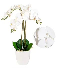 kwiat-doniczkowy-viviart-storczyk-bialy-70-cm
