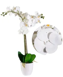 sztuczny-storczyk-jak-zywy-bialy-gumowy-2-pedy-roslina-ozdoba-prezent-75cm