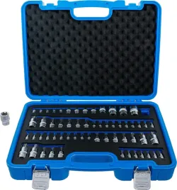nasadki-torx-i-torx-plus-60-szt