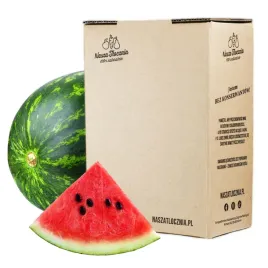 sok-100percent-tloczony-z-arbuza-nfc-nasza-tlocznia-bez-cukru-dostawa-fit-3l