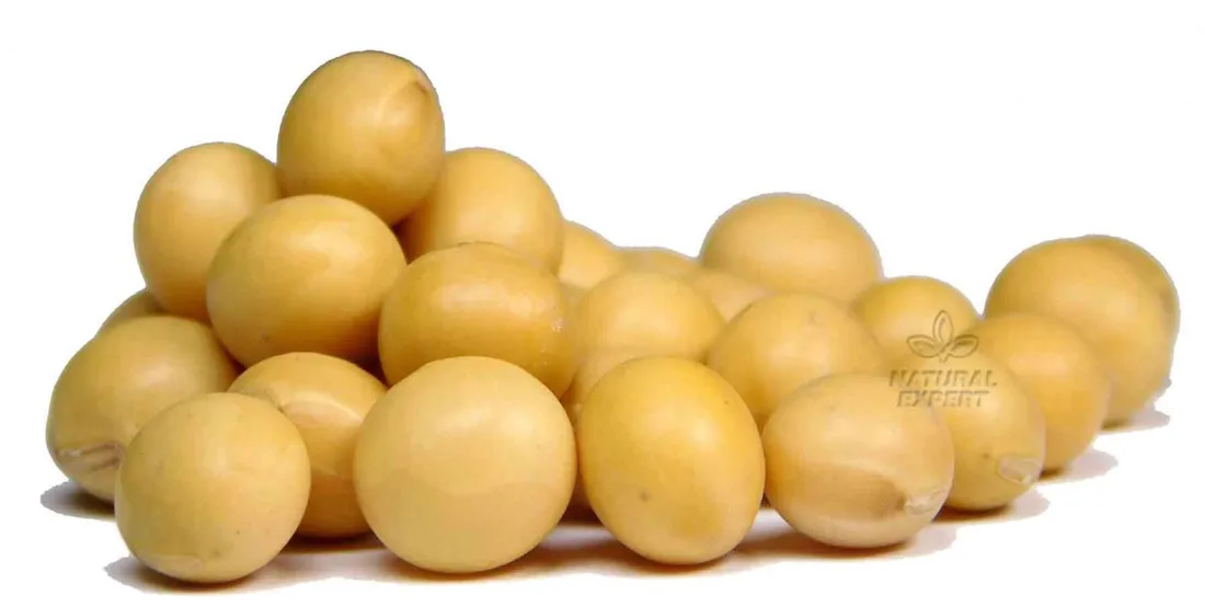 soja-ziarno-5kg-stan-nowy