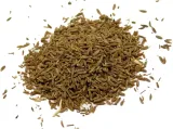 kmin-rzymski-caly-2kg