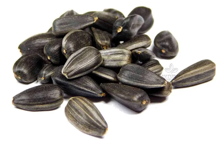 PESTKI SŁONECZNIKA CZARNE GRUBE 1kg