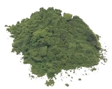 chlorella-proszek-100g-stan-nowy