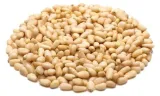 orzechy-piniowe-cedrowe-1kg