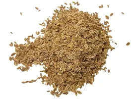 nasiona-kopru-ogrodowego-5kg