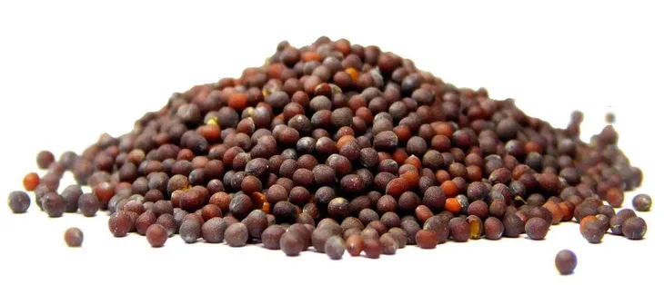 gorczyca-czarna-ziarno-100g