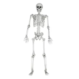 szkielet-stojacy-mikamax-plastikowy-170-cm