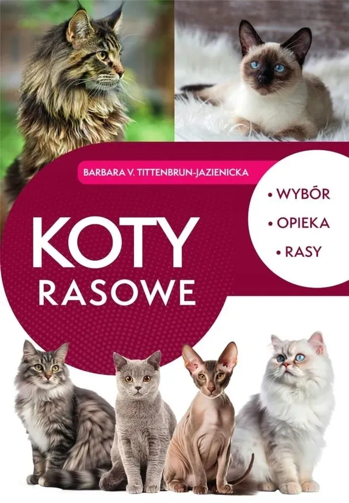 koty-rasowe