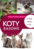 koty-rasowe-stan-nowy