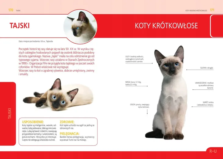 koty-rasowe-okladka-twarda