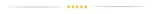 generator-ozonu-bigstren-21208-marka-bigstren-kod-producenta-21208