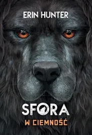 sfora-t-3-w-ciemnosc