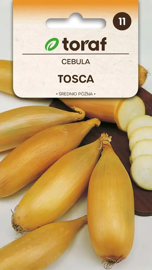 cebula-tosca-nasiona-2g-toraf-26