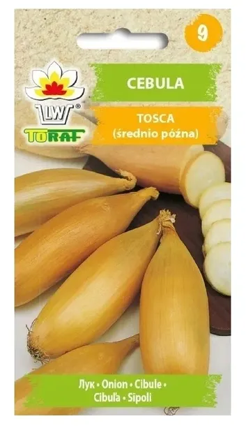 cebula-tosca-nasiona-2g-toraf-26-styl-ogrod-wiejski-ogrod-nowoczesny-ogrod-srodziemnomorski