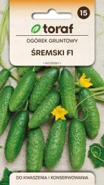 ogorek-gruntowy-sremski-do-kwaszenia-i-konserwowania-nasiona-5g-toraf-139