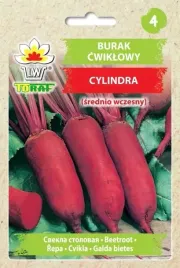 burak-cwiklowy-cylindra-nasiona-10g-toraf-17