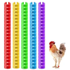 pierscienie-na-nogi-dla-kur-kaczek-golebi-100-szt-16-mm-kolorowe-numery