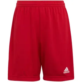nd05-s10287-116cm-h57501-spodenki-dla-dzieci-adid