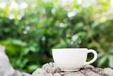 impra-royal-elixir-tea-knight-big-leaf-100-g-certyfikat-brak