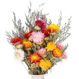 bukiet-suszonych-kwiatow-rumianek-i-kocanki-wielokolorowy-30-cm
