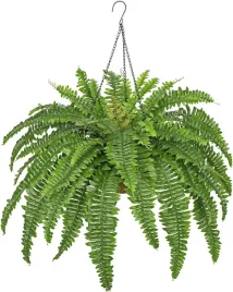 sztuczna-paproc-wiszaca-dekoracyjna-realistyczna-zielona-80-cm