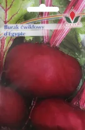 burak-cwiklowy-d-egypte-nasiona-20-g-coleus