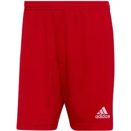 nd05-s10336-m-h61735-spodenki-meskie-adidas-entra