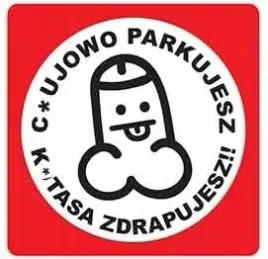 karne-naklejki-etykiety-karny-k-tas-100szt-xl-kk24