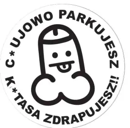 karne-naklejki-etykiety-karny-k-tas-100szt-xl-kk10