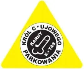 karne-naklejki-etykiety-karny-k-tas-100szt-xl-kk33