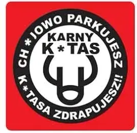 karne-naklejki-etykiety-karny-k-tas-100szt-xl-kk18