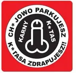 karne-naklejki-etykiety-karny-k-tas-100szt-xl-kk17