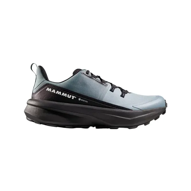 aenergy-hike-low-gtx