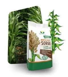 sorgo-karim-mieszaniec-sorgo-ala-nutrihoney-opakowanie-125kg-na-05ha