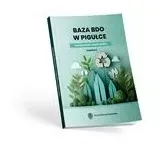 baza-bdo-w-pigulce-2025-kompendium-uzytkownika