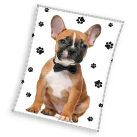 koc-z-mikrofibry-130x170-pies-buldog-lapki-bialy-bezowy
