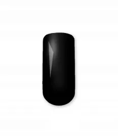 pb-nails-zel-do-zdobien-painting-pa20-czarny-5g-black