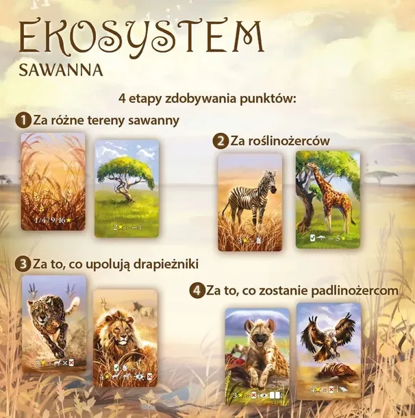 ekosystem-3-sawanna-wiek-gracza-8-11-lat-12-14-lat-15-18-lat-18