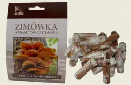 zimowka-aksamitnotrzonowa-grzybnia-na-kolkach-100-szt-uprawa-grzybow