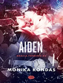 aiden-3-bracia-torrino