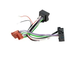 focal-car-iw-psa-y-iso-kostka-iso