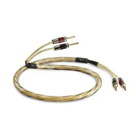 qed-qed-golden-anniversary-xt-kabel-glosnikowy